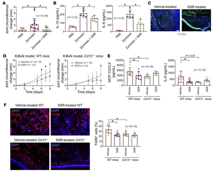 Blockade of B1R attenuates ZIA and K/BxN serum transfer arthritis in mic...