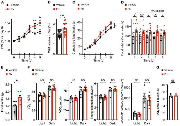 Short-term treatment with Flx induces a rapid increase in feeding.
(A–D)...