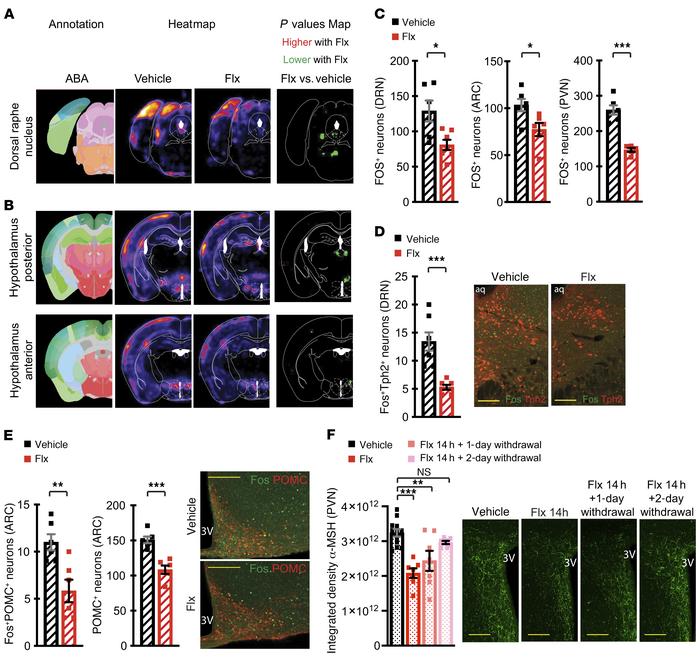 Acute treatment with Flx decreases the activity of DRN neurons and hypot...