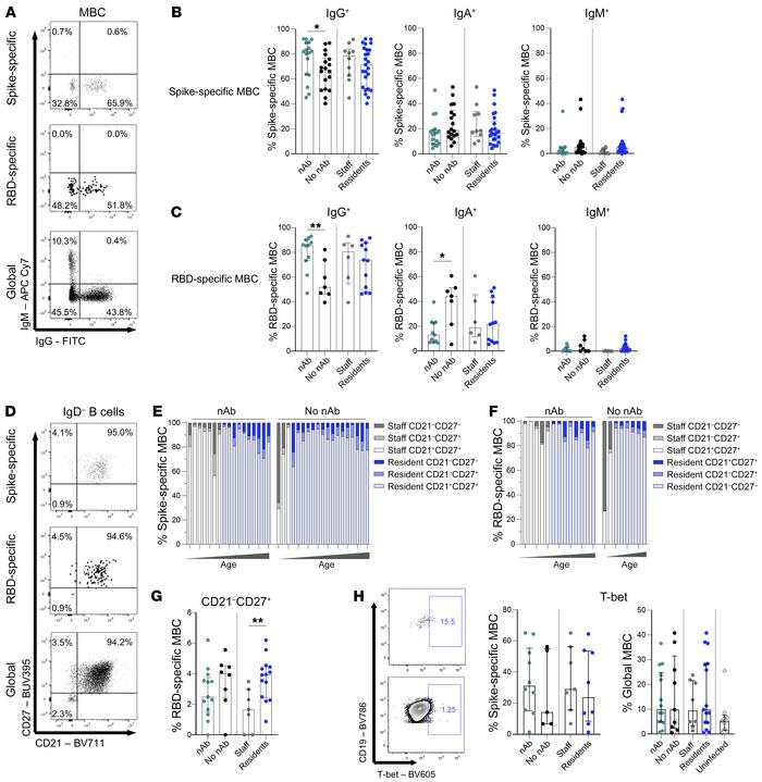 Preserved memory phenotype but skewed isotype of spike- and RBD-specific...