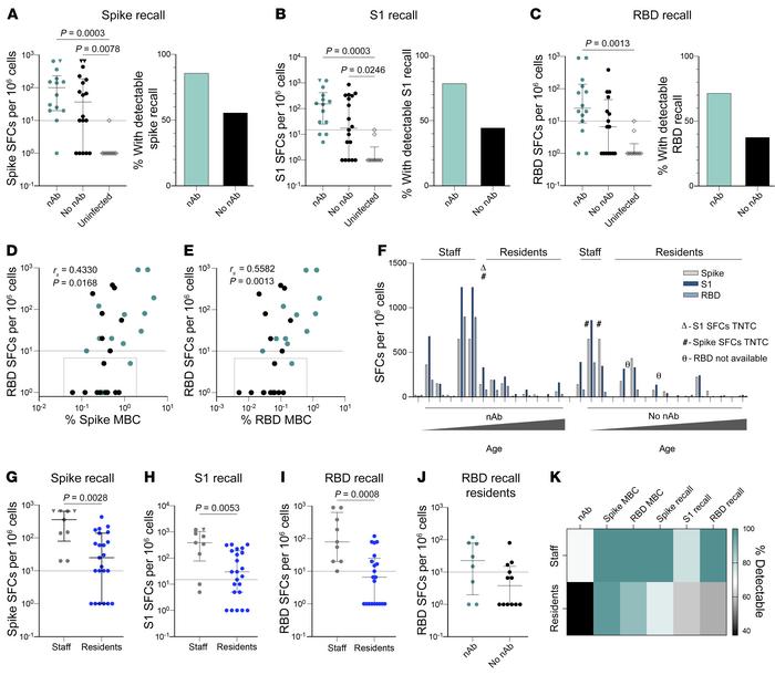 Elderly individuals maintain some functional spike- and RBD-specific B c...