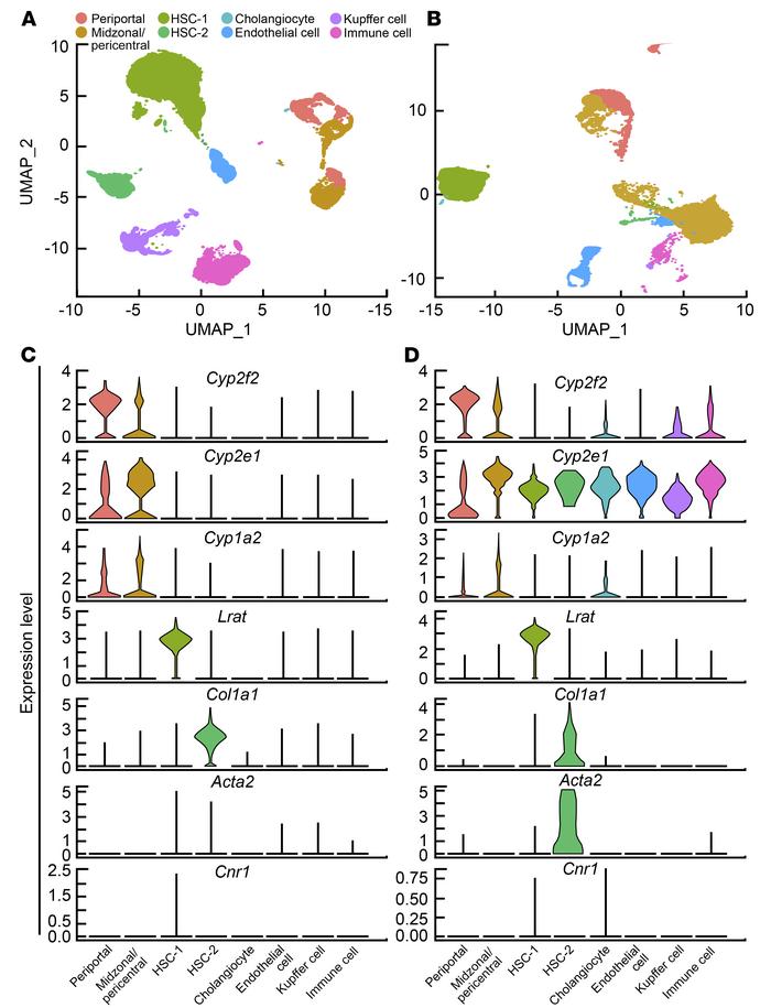 Single-cell RNA sequencing reveals very low Cnr1 expression in hepatocyt...