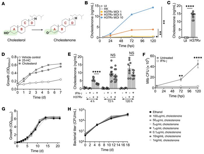 Macrophage cholestenone levels correlate with M. tuberculosis burden and...