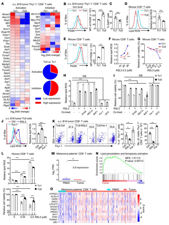Reduced lipid peroxidation and ferroptosis are required for the longevit...