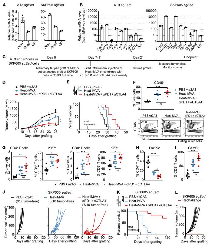 Intratumoral injection of heat-iMVA sensitizes PRC2-loss tumors to anti–...