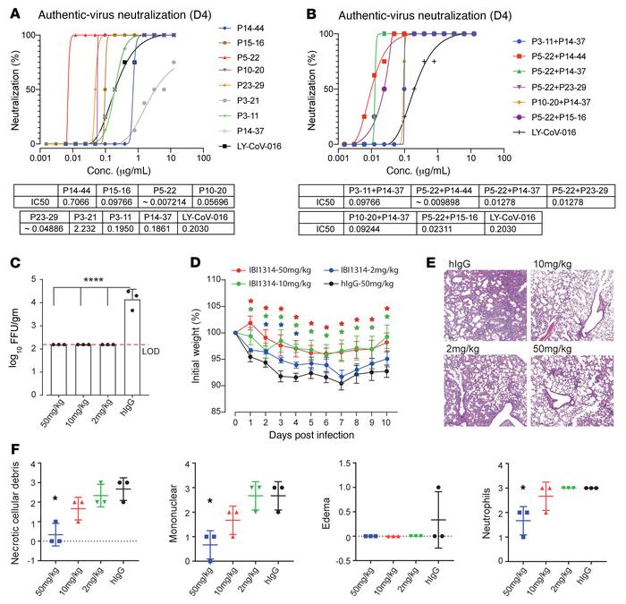 Selected potent antibodies protect against authentic SARS-CoV-2 infectio...