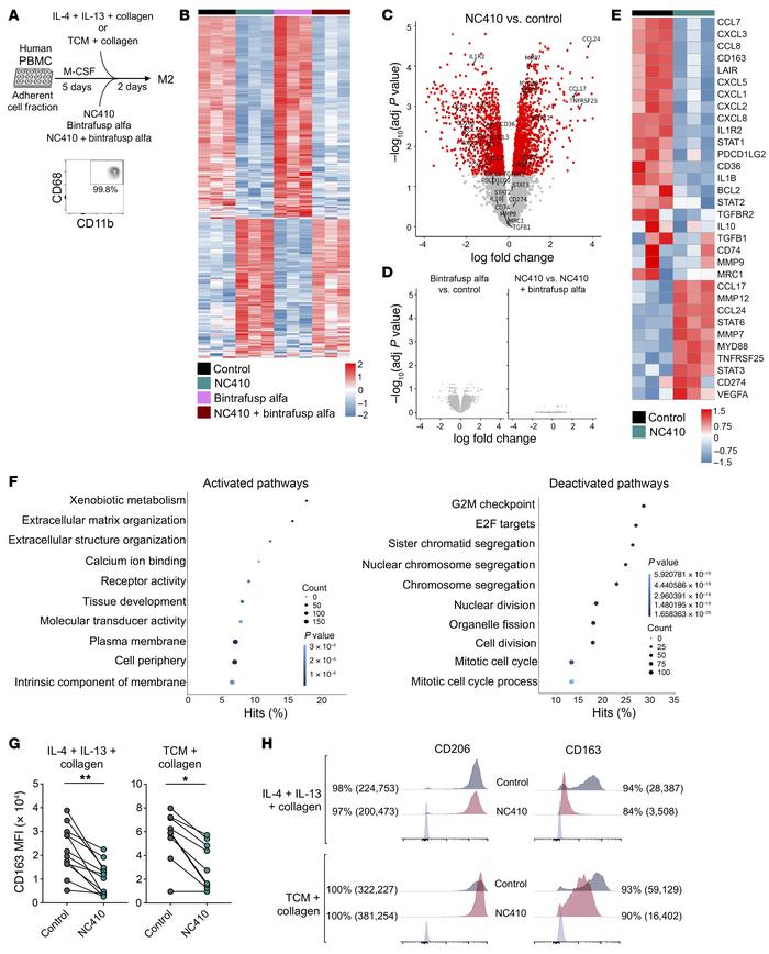 NC410 alters the M2 polarization phenotype of human macrophages in vitro...