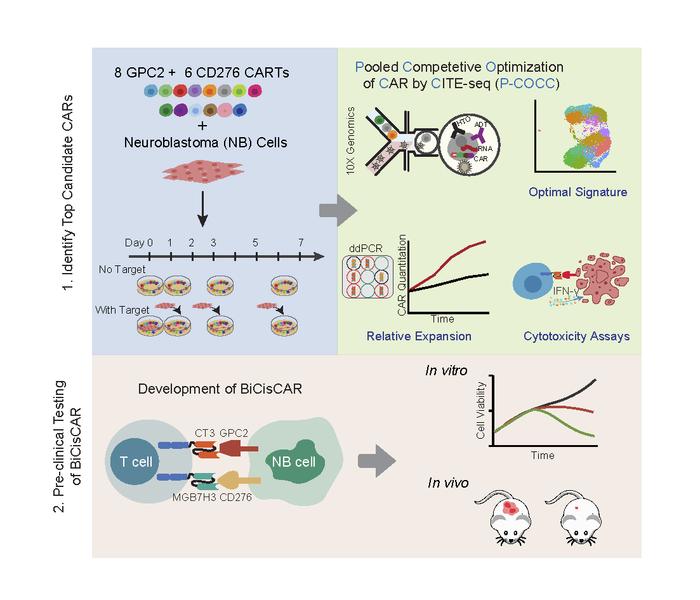 graphical abstract