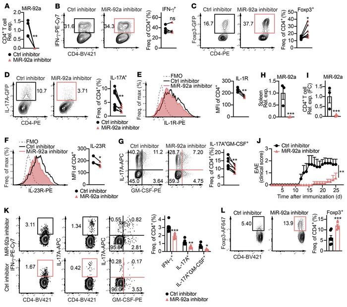 miR-92a inhibitor treatment ameliorates EAE.
(A) qPCR analysis of miR-92...