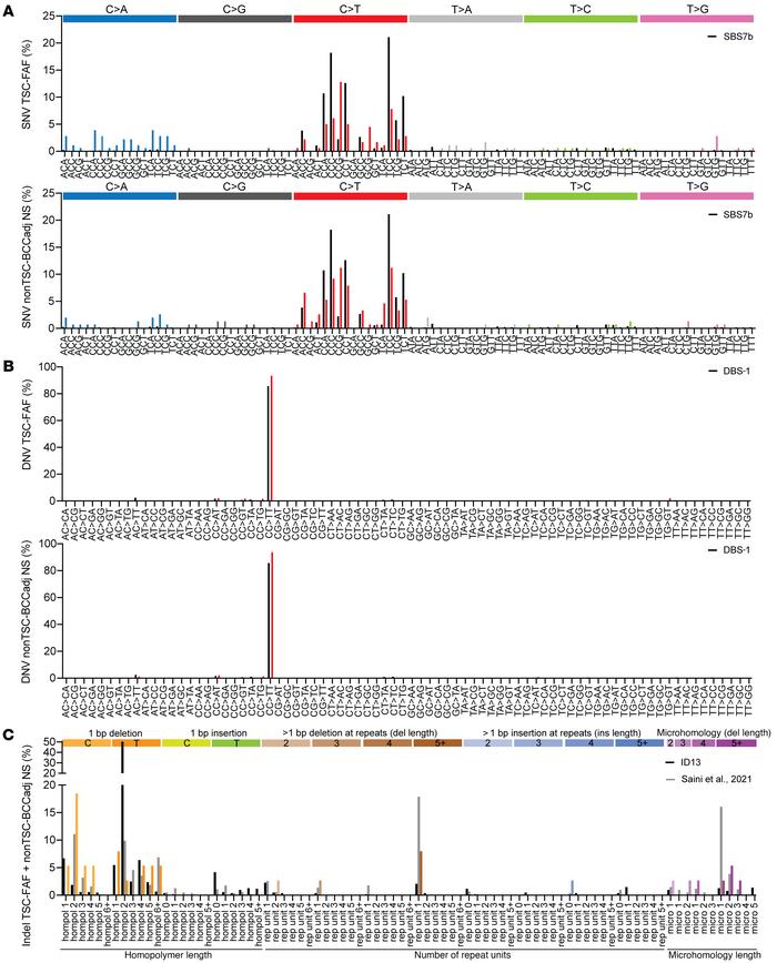 Mutation signatures in TSC-FAFs and nonTSC-BCCadj normal skin samples.
(...