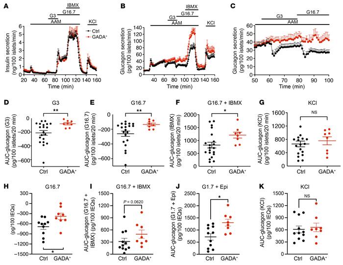 Insulin and glucagon secretion in islets from healthy and GADA+ donors.
...