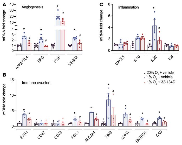 Effect of 32-134D treatment on hypoxia-induced gene expression in Hepa1-...