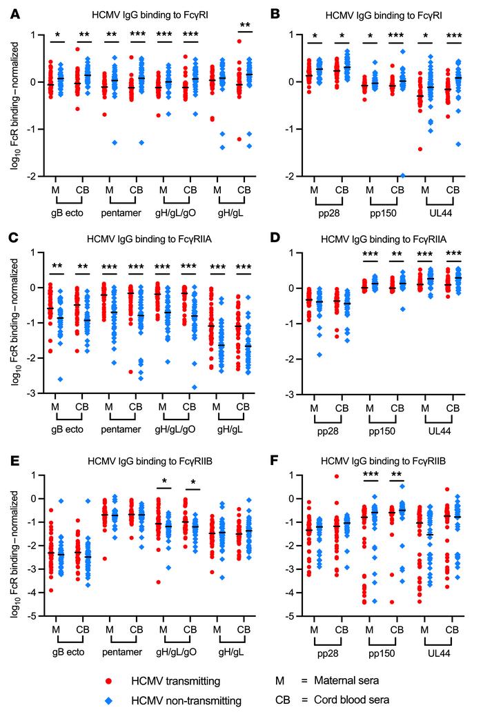 HCMV-specific IgG binding to FcγRI, FcγRIIA, and FcγRIIB differs in tran...