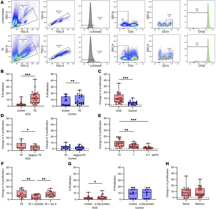 B cell proliferation measured by CFSE dilution.
(A) Gating strategy for ...