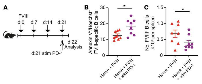 PD-1–stimulating antibodies bypass the need for PD-L1+ Tregs for toleriz...