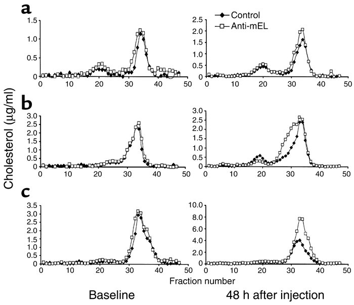 Plasma lipoprotein profiles at baseline and after antibody injection. Po...