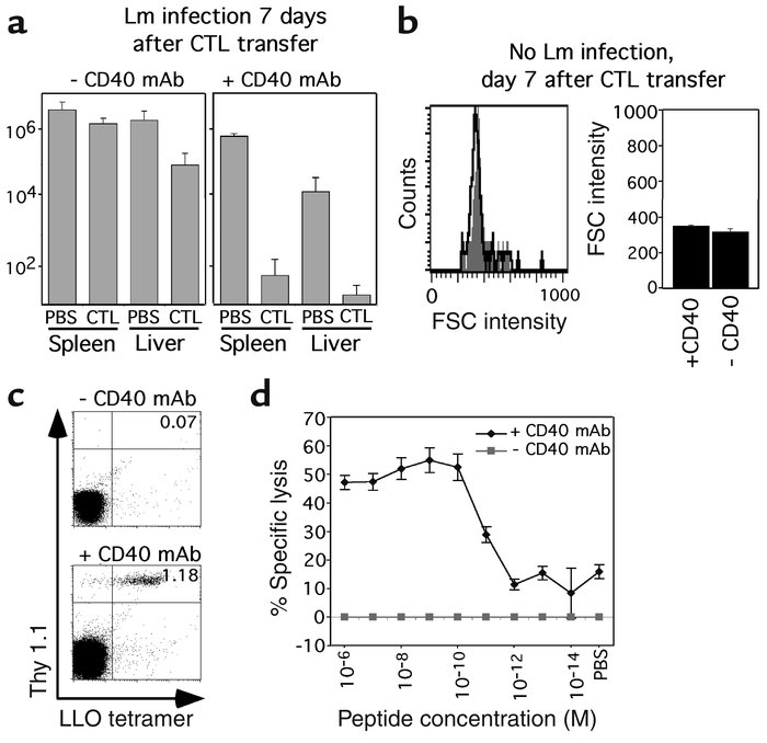 Protective immunity and expansion of transferred CTLs is lost 7 days aft...