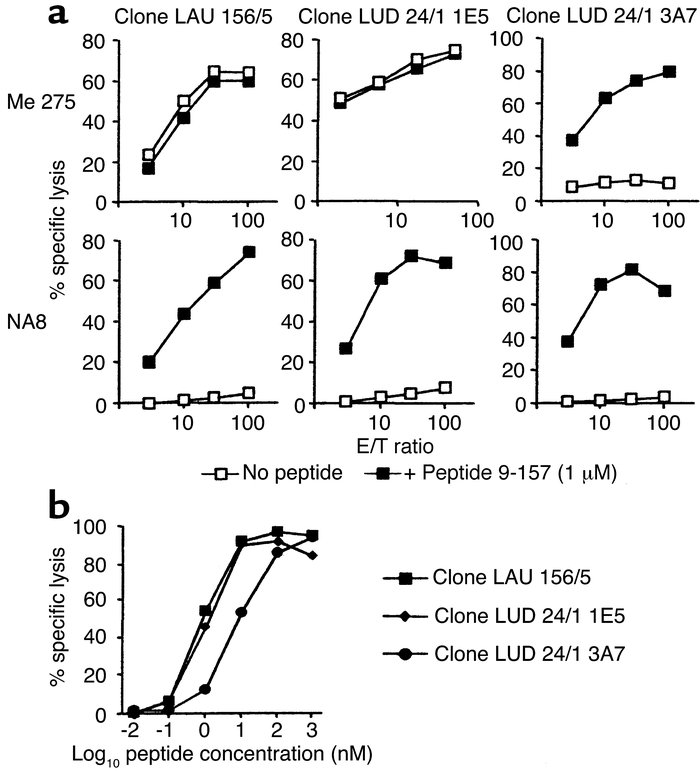 Functional clonal heterogeneity in M 9-157 polyclonal population’s impac...
