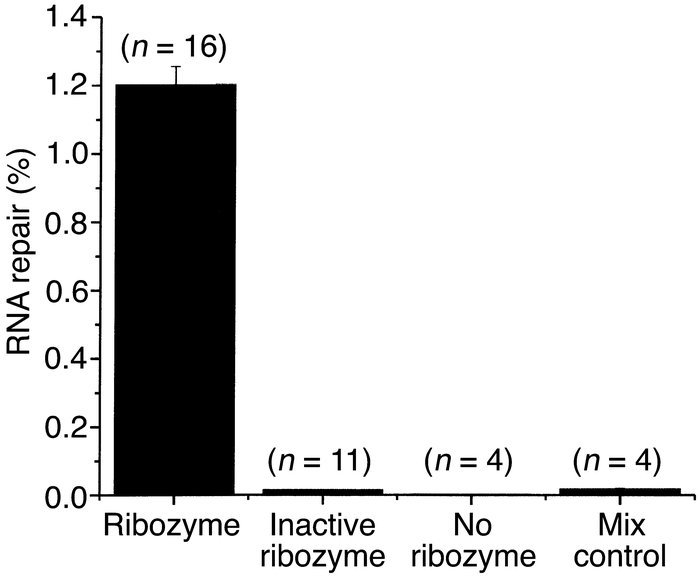 Trans-splicing reaction efficiency. Real-time quantitative RT-PCR was pe...