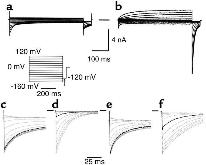 Ribozyme-mediated functional repair of mutant cClC-1. (a and b) Represen...