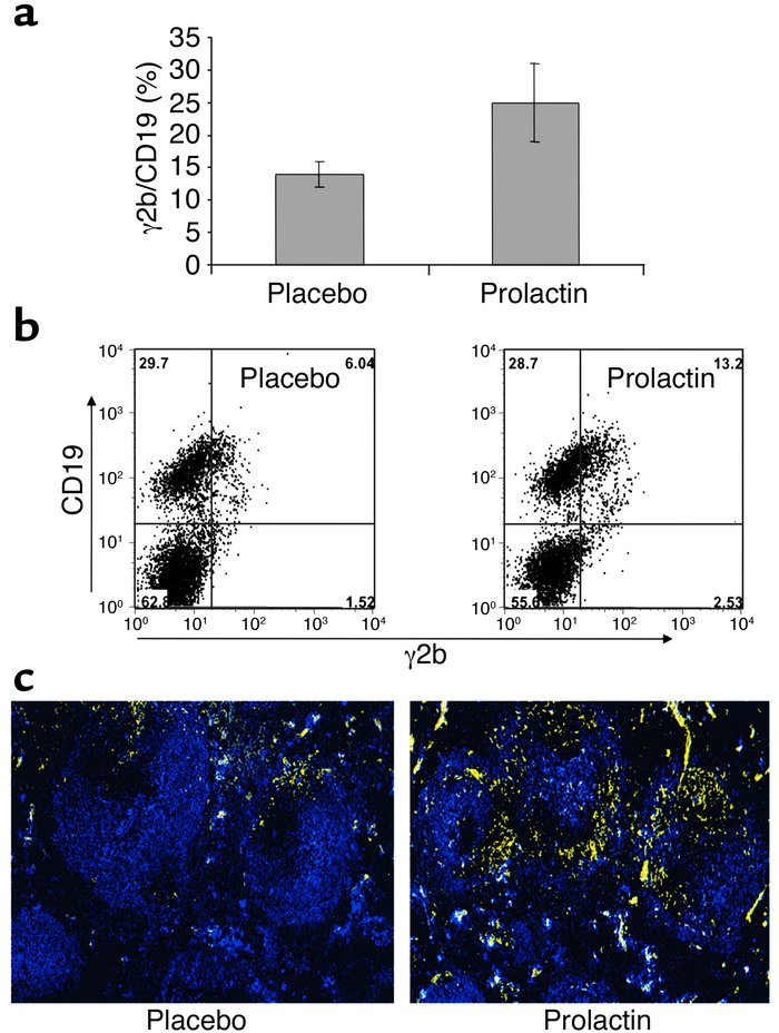 Analysis of peripheral B cell lymphocytes. Splenocytes were isolated fro...