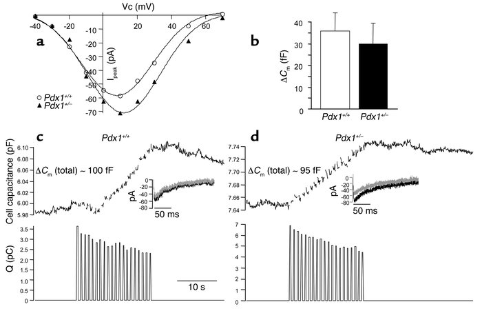 Single-cell exocytosis and voltage-gated Ca2+ currents are not altered i...