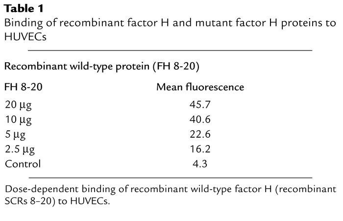 Binding of recombinant factor H and mutant factor H proteins to HUVECs