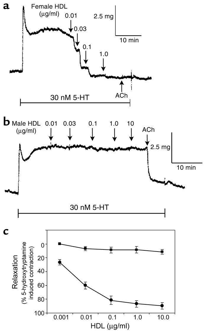 Female HDL but not male HDL potently relaxes arterial contraction. Femor...