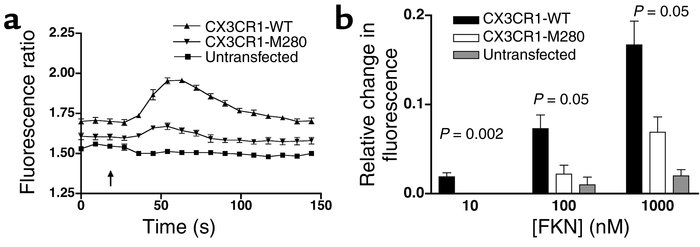 Calcium mobilization by CX3CR1-M280 is defective. Data represent the mea...