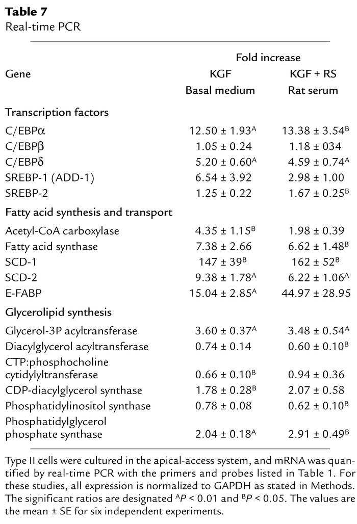 Real-time PCR