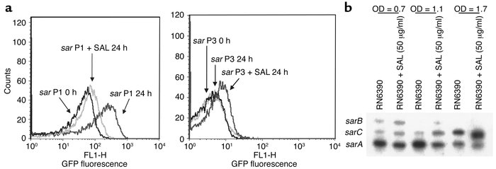 (a) Flow cytometric analysis of salicylic acid–induced effects on sar-gf...