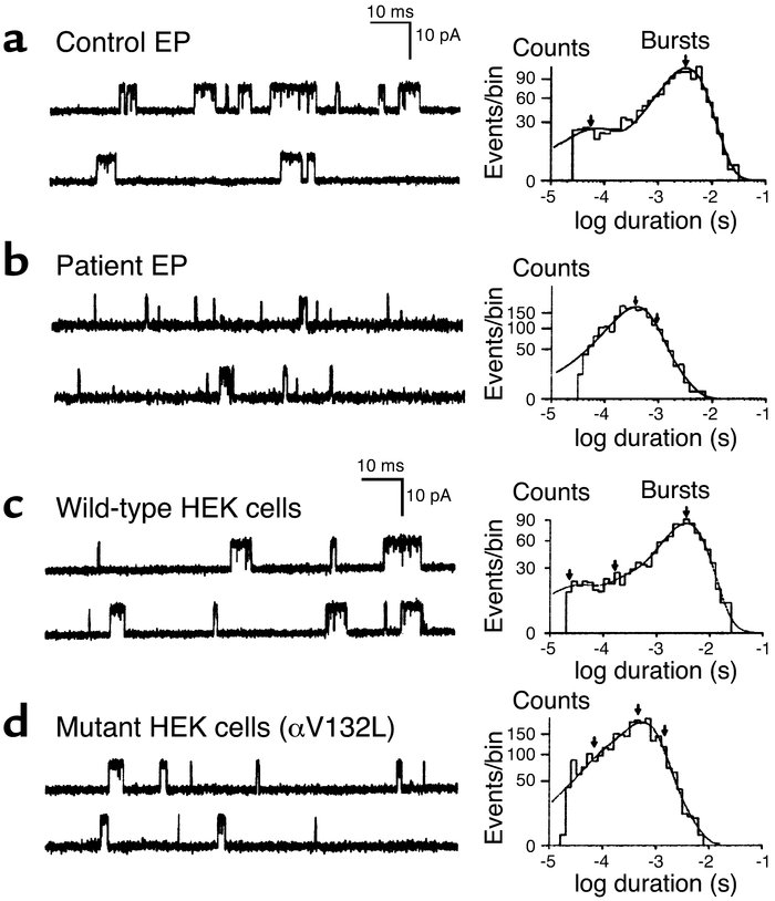 Channel events elicited by 50 nM ACh from control (a) and patient EPs (b...