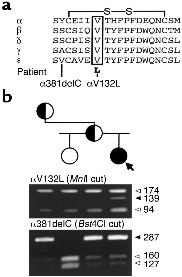 (a) Multiple alignment of cys-loop and its flanking regions. Valine 132 ...