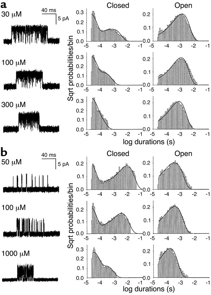 Kinetics of activation of wild-type (a) and αV132L (b) AChR. Left column...