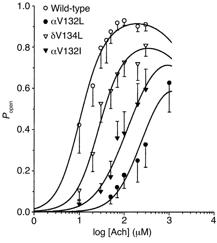 Open probability (Popen) as a function of ACh concentration. Symbols rep...