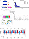 MPRA of PRDM6 intron 3 variants.