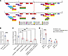 Screenings for transcription factor and enhancer identification.