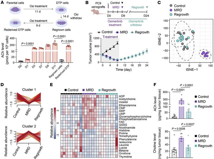 The reversible ACh levels and metabolic profiles of drug tolerance state...