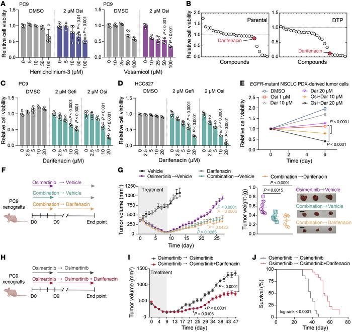 Pharmacological inhibition of ACh/M3R signaling suppresses DTP formation...