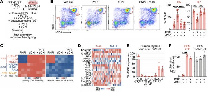 dCK and SAMHD1 mediate PNPi-induced lethality.
(A) Experimental design f...
