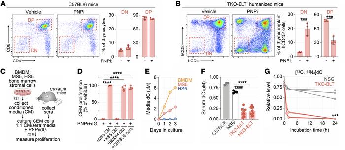 dC is an environmental factor that dictates PNPi lethality.
(A) Cellular...