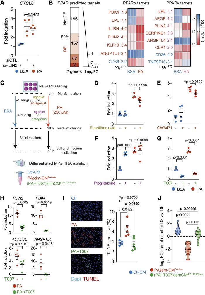 Inhibition of PPARγ signaling normalizes the PA-induced lipid-associated...