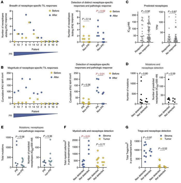 Neoepitope-specific TIL responses.
(A) Dot plot on the left shows the nu...