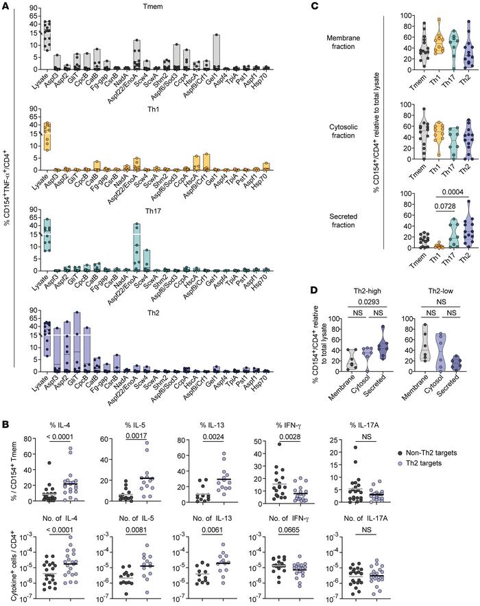 
A. fumigatus–reactive Th cell subsets recognize different protein targe...