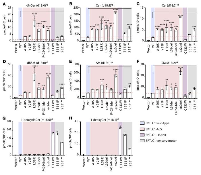 De novo sphingolipid (SL) synthesis in variant-expressing cells.
(A–F) D...