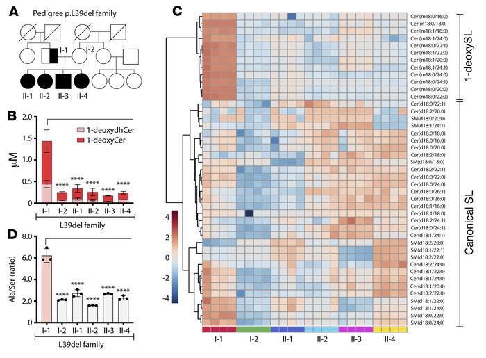 Sphingolipid (SL) profiles are influenced by alanine to serine ratios in...