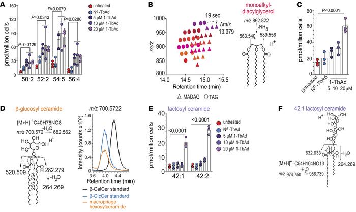1-TbAd induces storage of known substrates in lysosomal storage diseases...