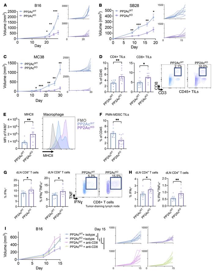 Macrophage PP2Ac deficiency reduces tumor growth and alters the tumor im...