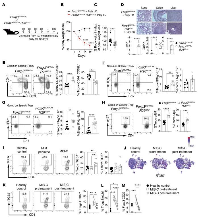 Poly I:C–induced multiorgan inflammatory disease in Foxp3EGFPCre R26N1c/...