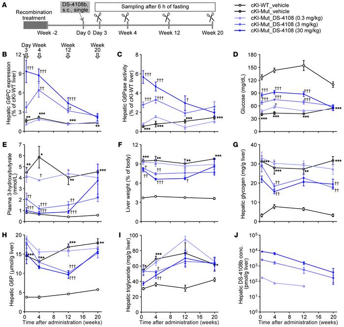 Time-dependent changes of the effect of a single administration of DS-41...